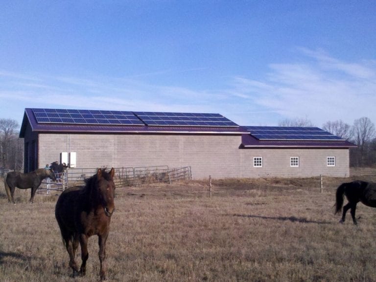 Horses in a field next to a pole barn with solar.