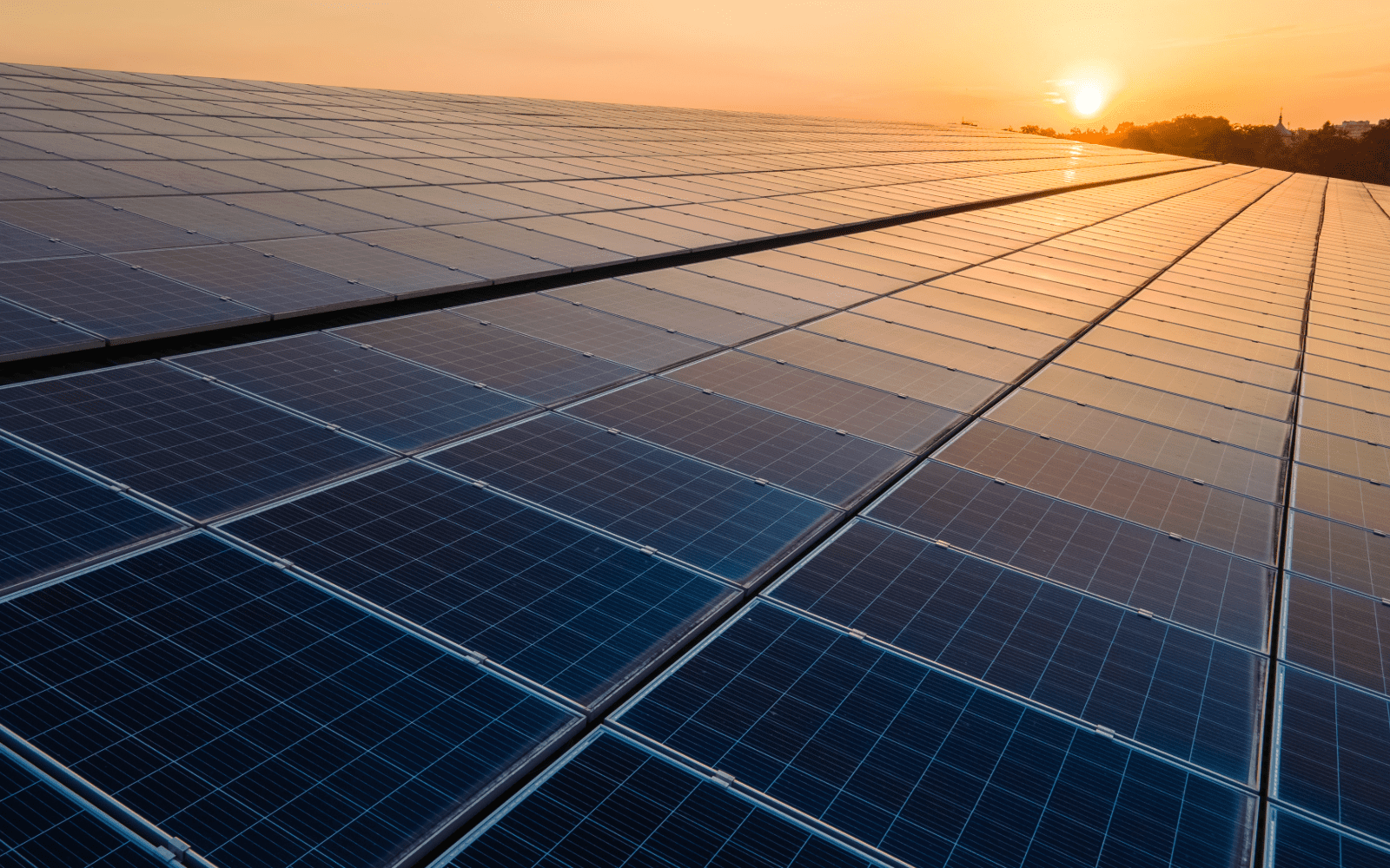 solar panels on top of a Minneapolis business