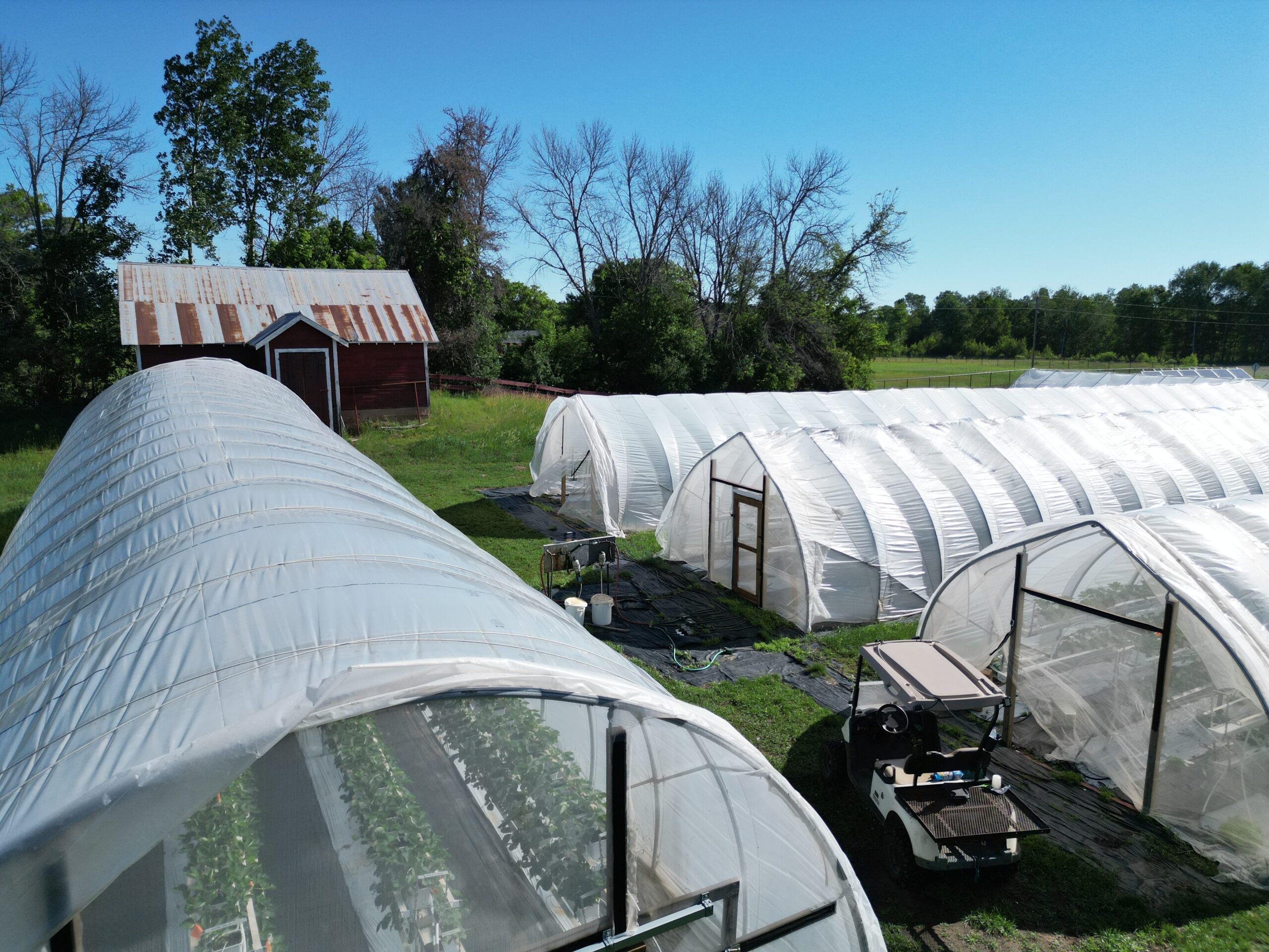 Hoop Houses, Twin Cities Berry farm, Solar Energy 