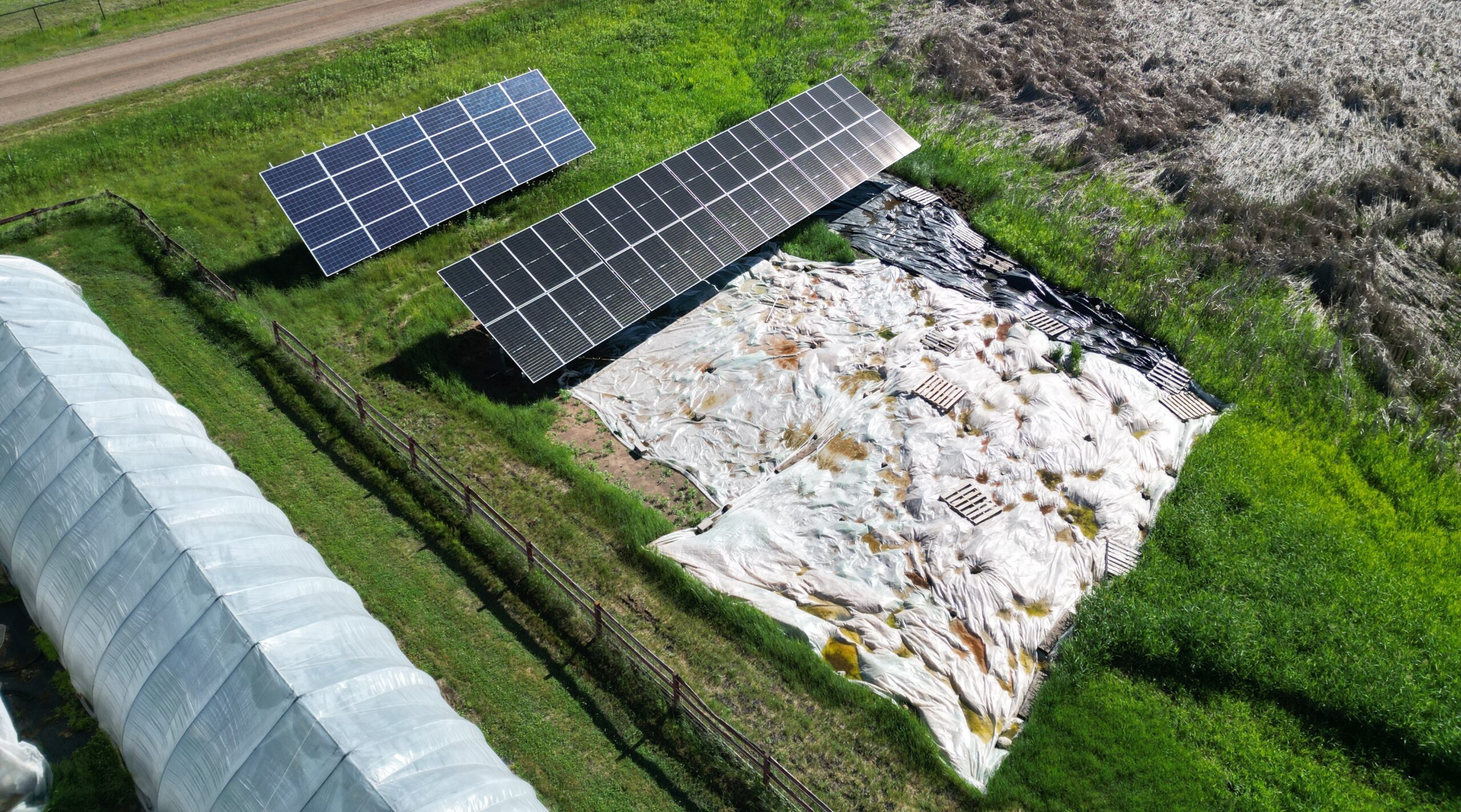 Solar energy on Twin Cities Berry Company Farm 