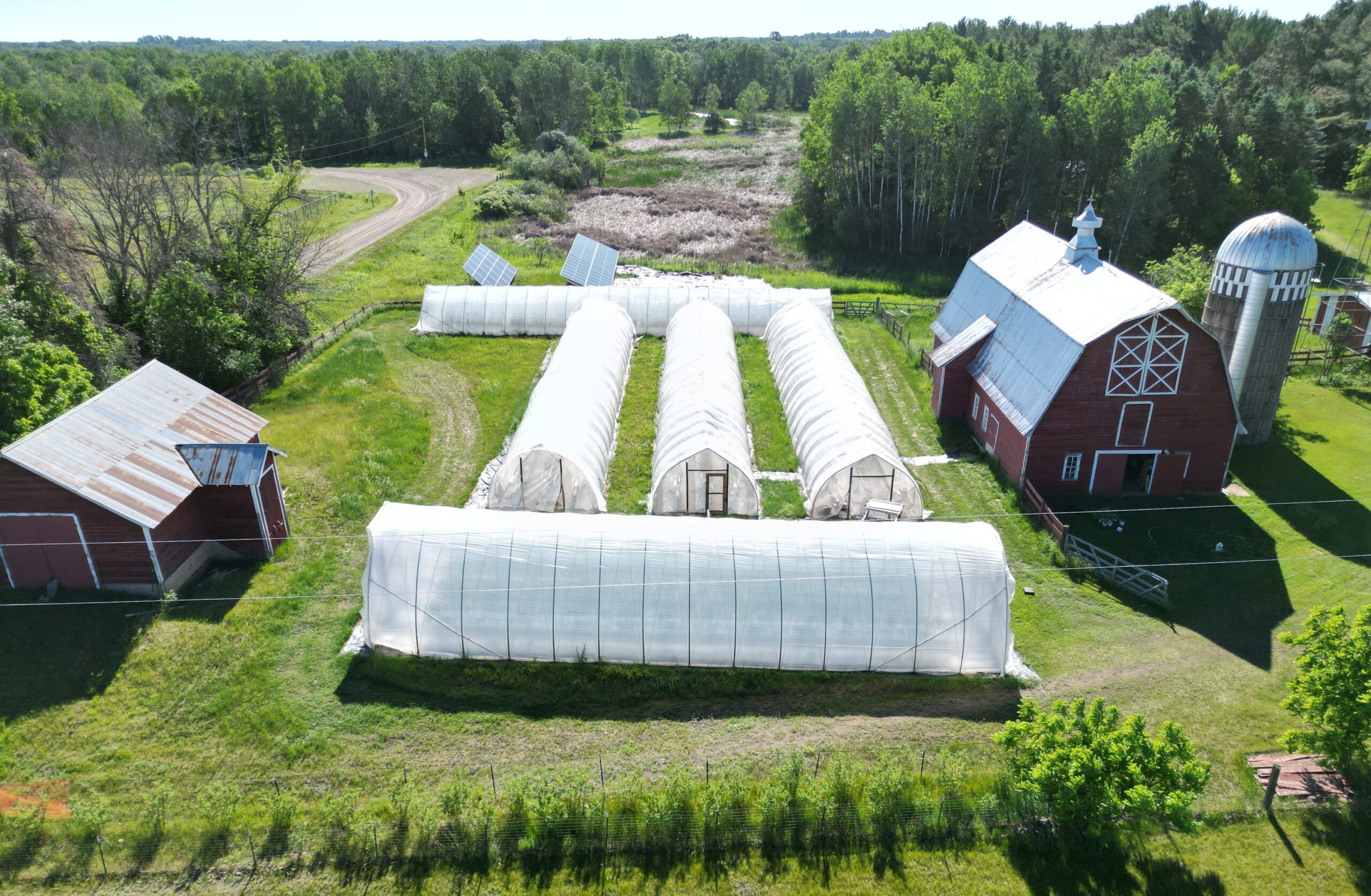 Twin Cities Berry Company Farm
